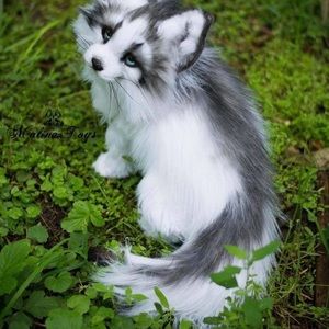 Meet your Posher, Teaghan